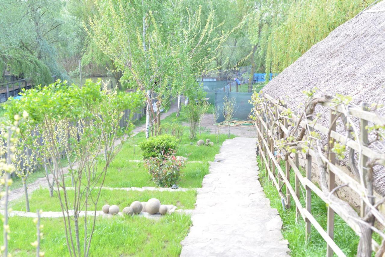 Pensiunea Yogi Dunavăţu de Jos Buitenkant foto